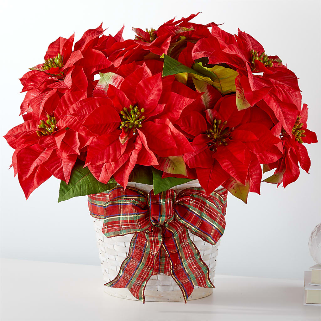 Happiest Holidays Poinsettia – ROWLETT FLORIST & GIFTS, Garland TX