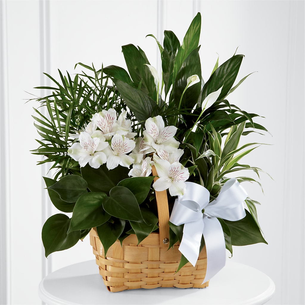Peace & Serenity Dishgarden – ROWLETT FLORIST & GIFTS, Garland TX