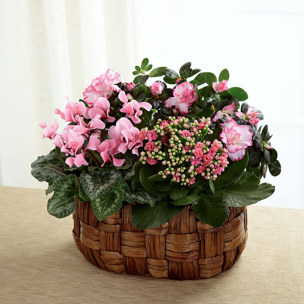 Pink Assortment – ROWLETT FLORIST & GIFTS, Garland TX