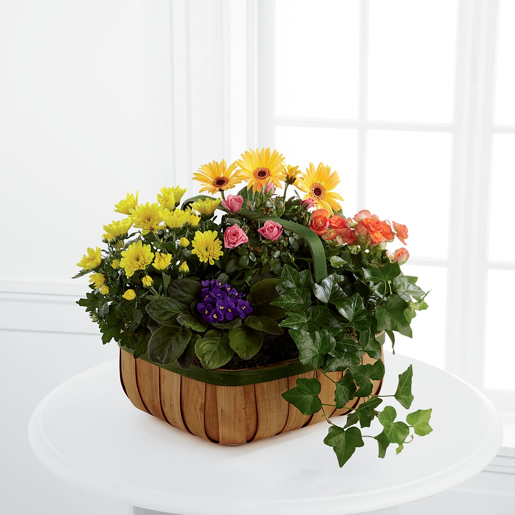 Gentle Blossoms Basket – ROWLETT FLORIST & GIFTS, Garland TX