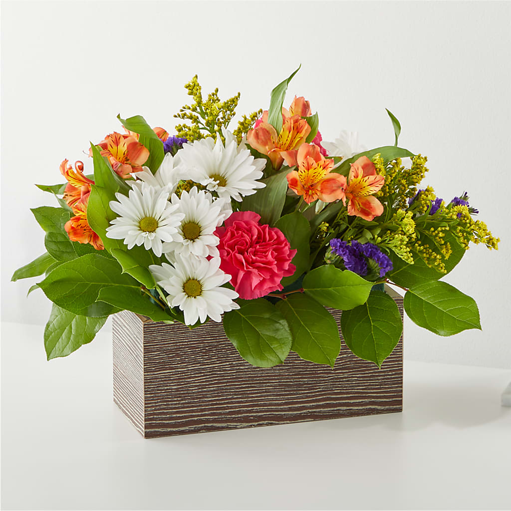 Oopsie Daisy Box Bouquet – ROWLETT FLORIST & GIFTS, Garland TX
