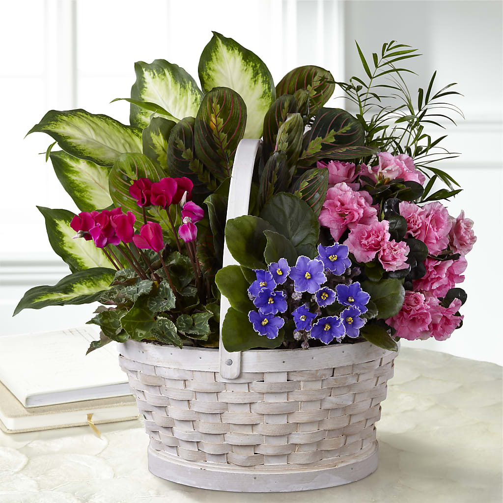 Peaceful Garden Planter – ROWLETT FLORIST & GIFTS, Garland TX