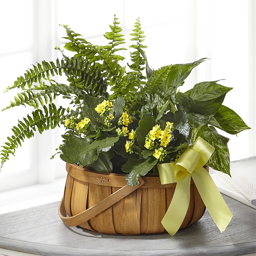 Always Dear Dishgarden – ROWLETT FLORIST & GIFTS, Garland TX