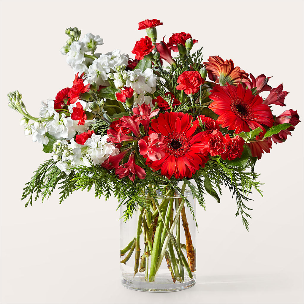 Holidaisy Bouquet – ROWLETT FLORIST & GIFTS, Garland TX