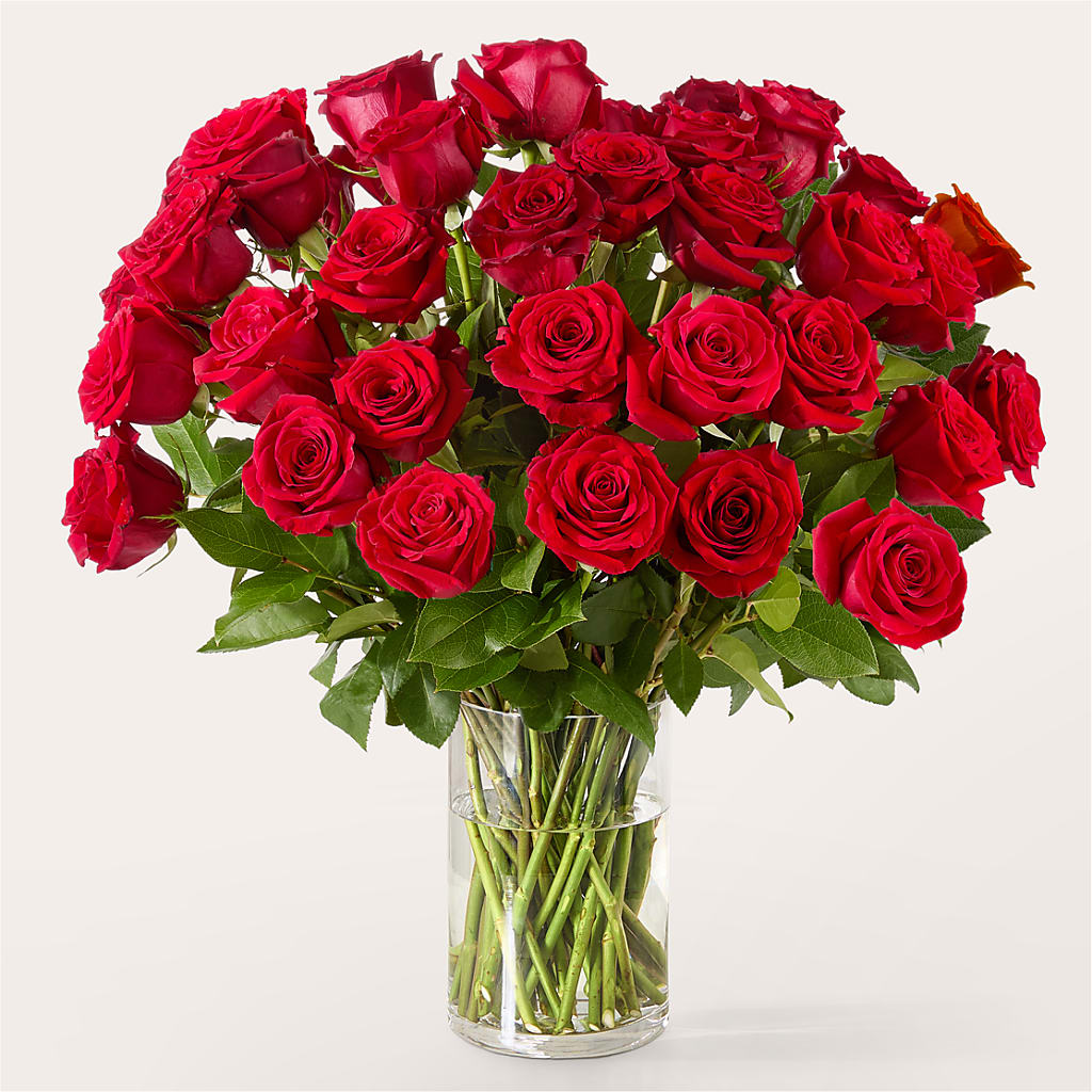 The One Red Rose Bouquet – ROWLETT FLORIST & GIFTS, Garland TX