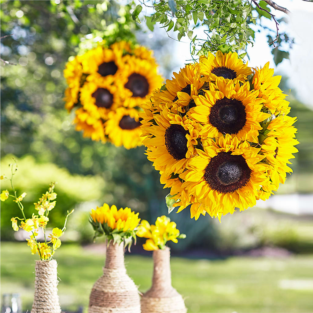 Sublime Garden Hanging Arrangement – ROWLETT FLORIST & GIFTS, Garland TX