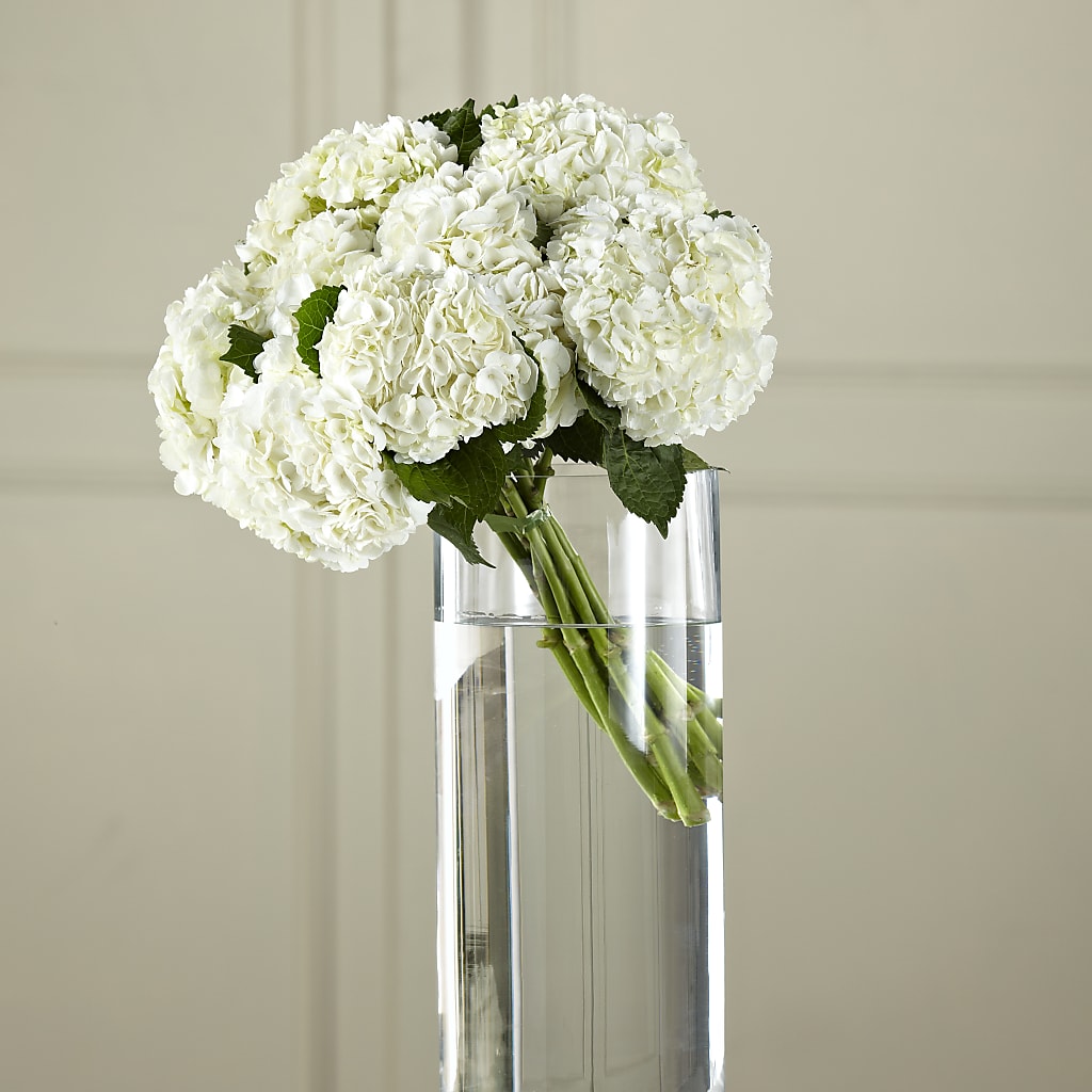 White Hydrangea Hand-Tied Bouquet – ROWLETT FLORIST & GIFTS, Garland TX