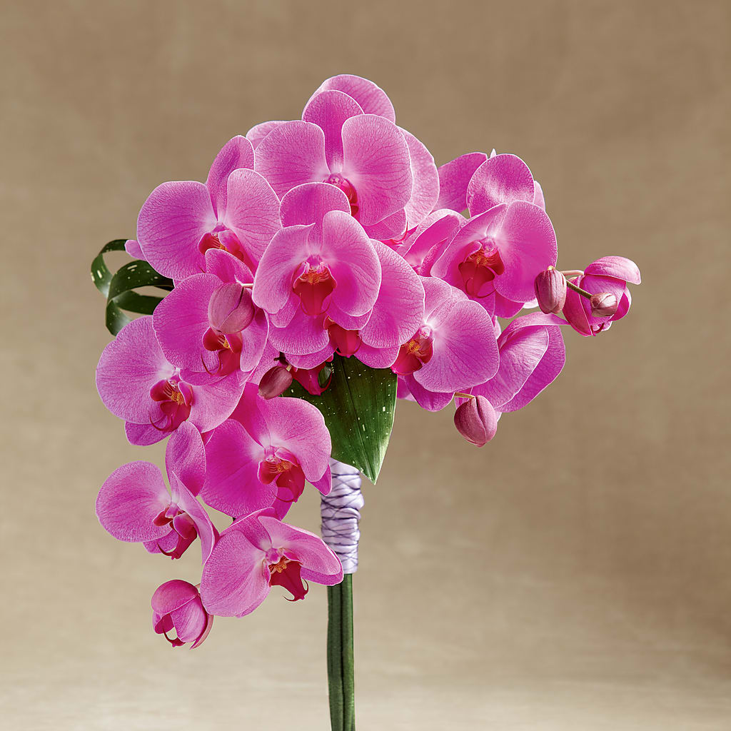 Glorious Bouquet – ROWLETT FLORIST & GIFTS, Garland TX