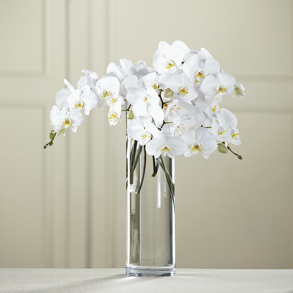 White Phalaenopsis Bouquet – ROWLETT FLORIST & GIFTS, Garland TX