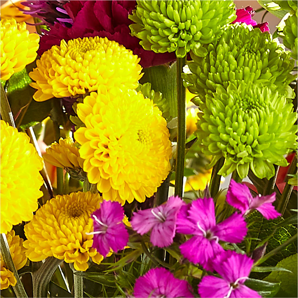Bold & Bright – A Florist Original – ROWLETT FLORIST & GIFTS, Garland TX