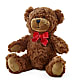 Adorable Plush Bear – ROWLETT FLORIST & GIFTS, Garland TX