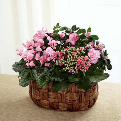 Pink Assortment – ROWLETT FLORIST & GIFTS, Garland TX