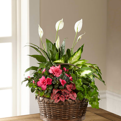 Dream in Pink Dishgarden – ROWLETT FLORIST & GIFTS, Garland TX