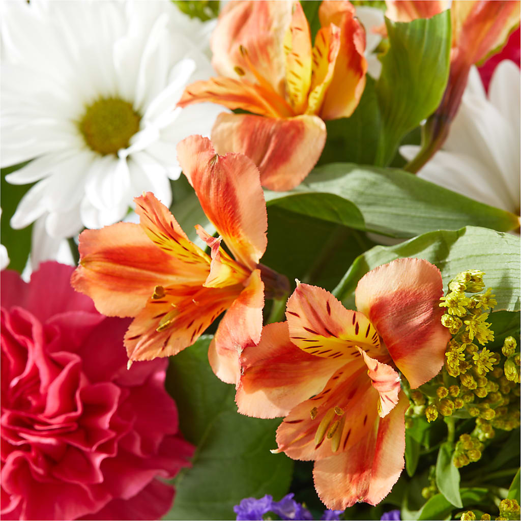 Oopsie Daisy Box Bouquet – ROWLETT FLORIST & GIFTS, Garland TX