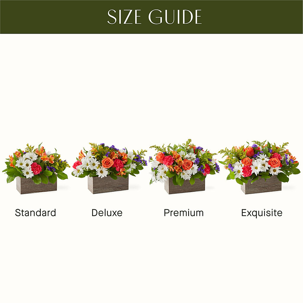 Oopsie Daisy Box Bouquet – ROWLETT FLORIST & GIFTS, Garland TX