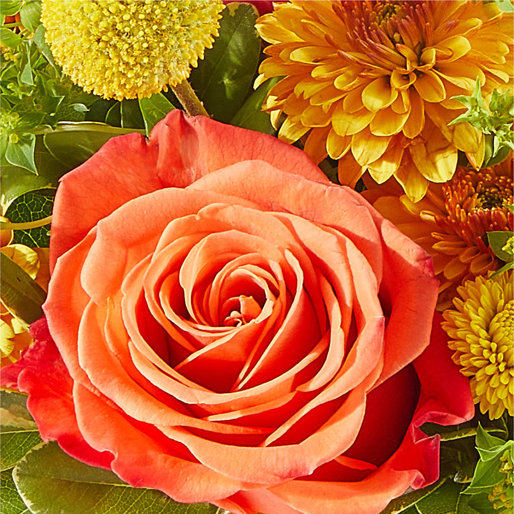 Gourdgeous Pumpkin – ROWLETT FLORIST & GIFTS, Garland TX