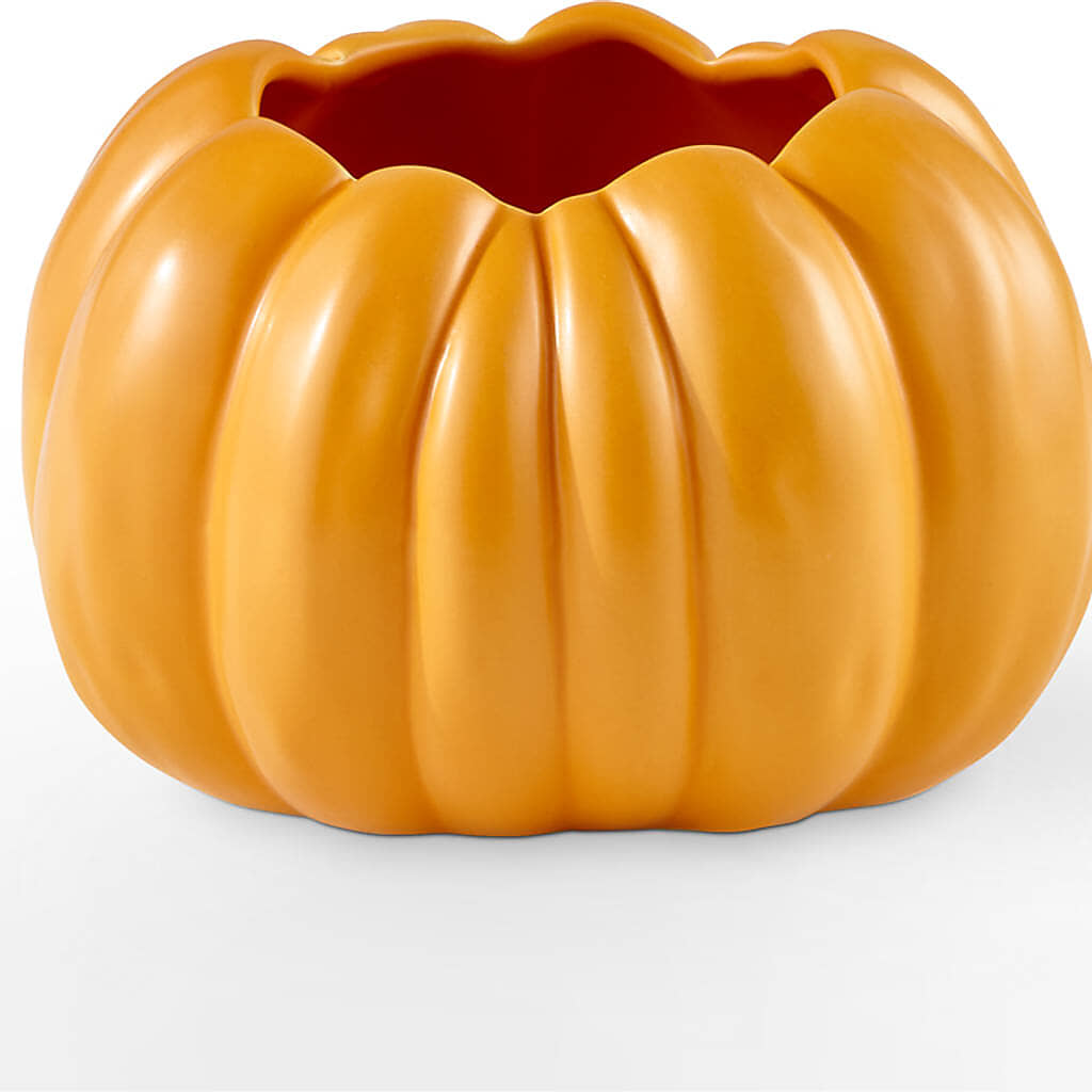 Golden Gourd Pumpkin Bouquet – ROWLETT FLORIST & GIFTS, Garland TX