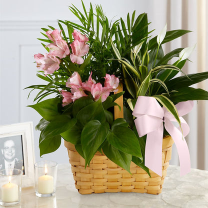 Living Spirit Dishgarden – ROWLETT FLORIST & GIFTS, Garland TX