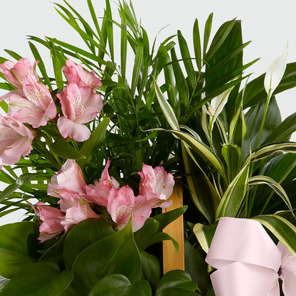 Living Spirit Dishgarden – ROWLETT FLORIST & GIFTS, Garland TX
