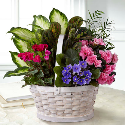 Peaceful Garden Planter – ROWLETT FLORIST & GIFTS, Garland TX