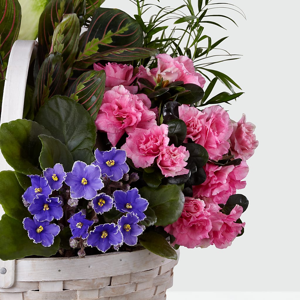 Peaceful Garden Planter – ROWLETT FLORIST & GIFTS, Garland TX
