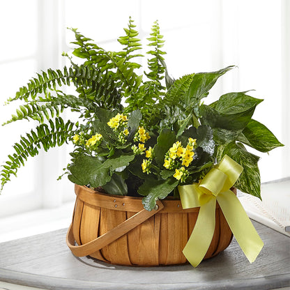 Always Dear Dishgarden – ROWLETT FLORIST & GIFTS, Garland TX