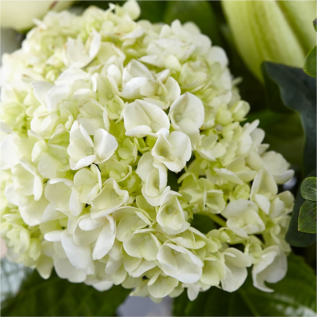 Classic Ivory – A Florist Original – ROWLETT FLORIST & GIFTS, Garland TX