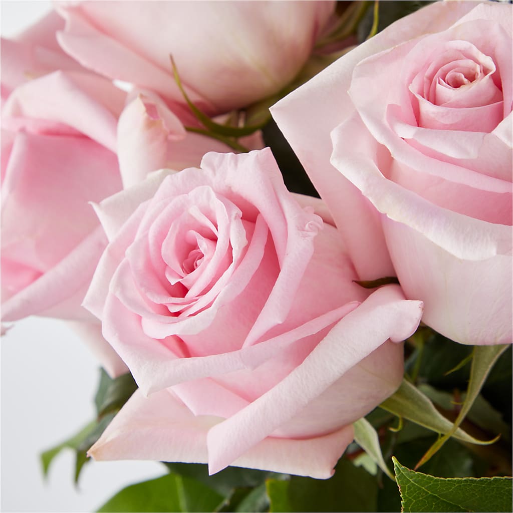 Picture Perfect Pink Rose Bouquet – ROWLETT FLORIST & GIFTS, Garland TX