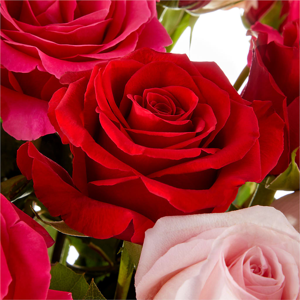 Love Notes Rose Bouquet – ROWLETT FLORIST & GIFTS, Garland TX