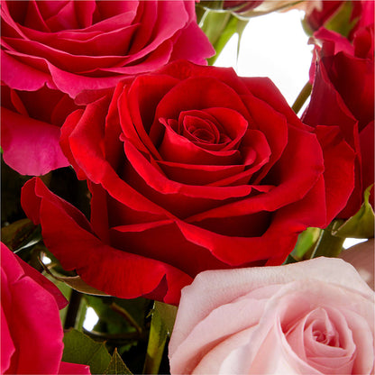 Love Notes Rose Bouquet – ROWLETT FLORIST & GIFTS, Garland TX