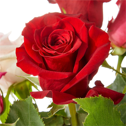 Love Notes Rose Bouquet – ROWLETT FLORIST & GIFTS, Garland TX