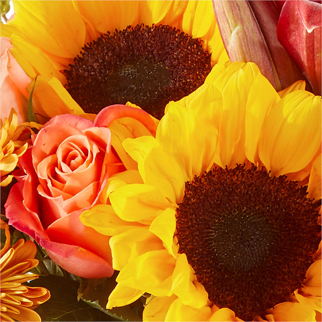 Acorn Lane Bouquet – ROWLETT FLORIST & GIFTS, Garland TX