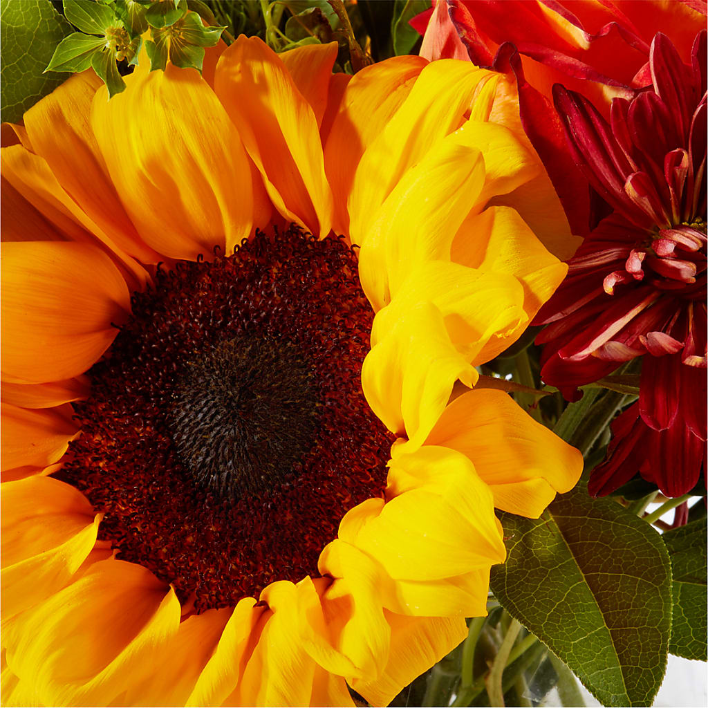 Harvest Festival Bouquet – ROWLETT FLORIST & GIFTS, Garland TX