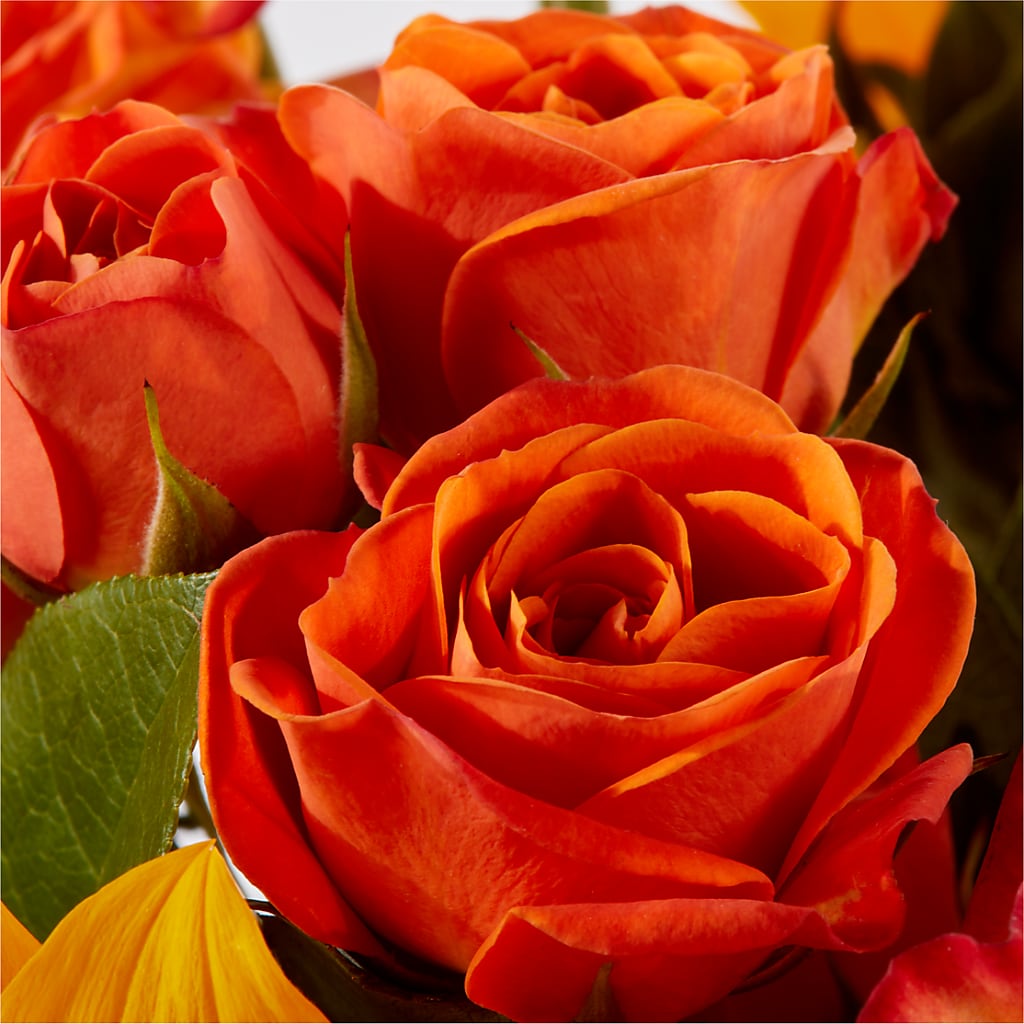 Picnic in the Park Bouquet – ROWLETT FLORIST & GIFTS, Garland TX