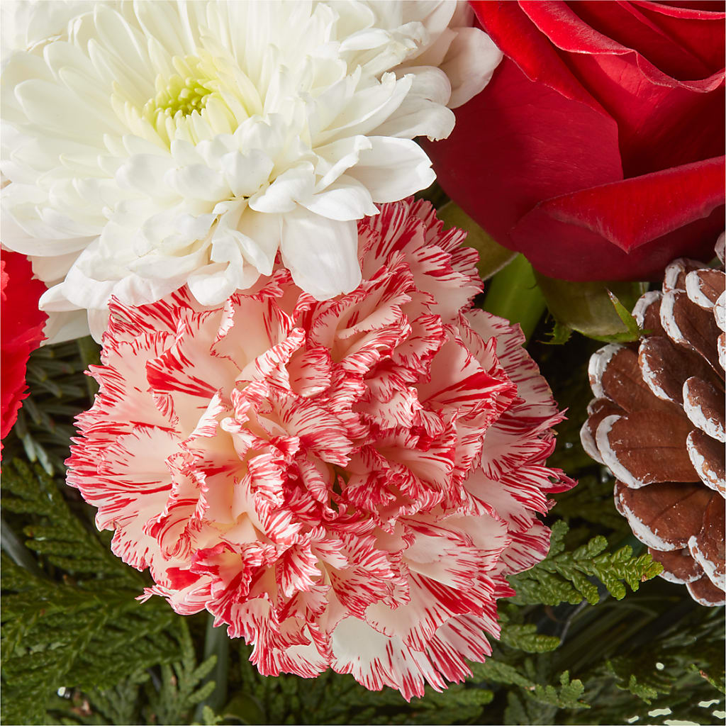Candy Cane Lane Bouquet – ROWLETT FLORIST & GIFTS, Garland TX