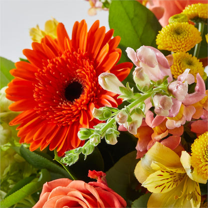 Autumn Sunshine Bouquet – ROWLETT FLORIST & GIFTS, Garland TX