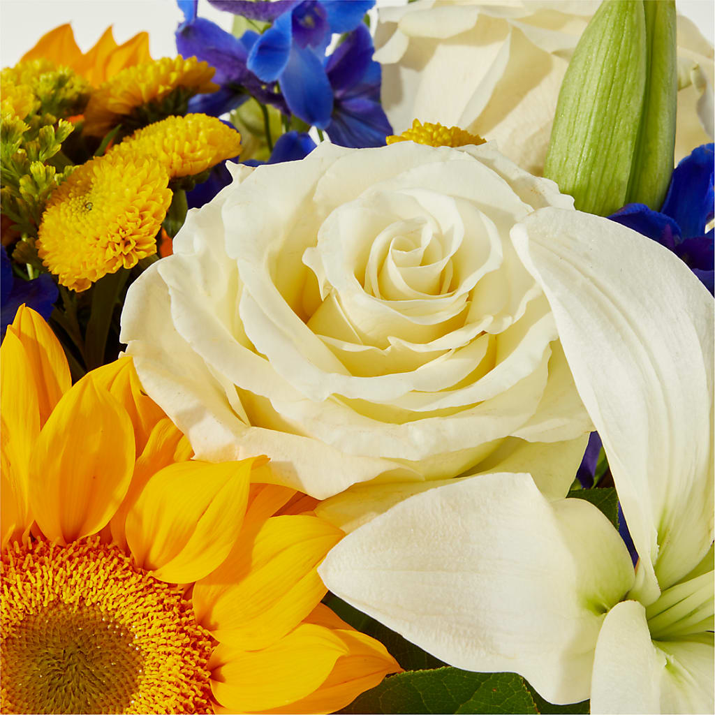 Stargazing Bouquet – ROWLETT FLORIST & GIFTS, Garland TX