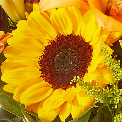 Seasons Change Bouquet – ROWLETT FLORIST & GIFTS, Garland TX