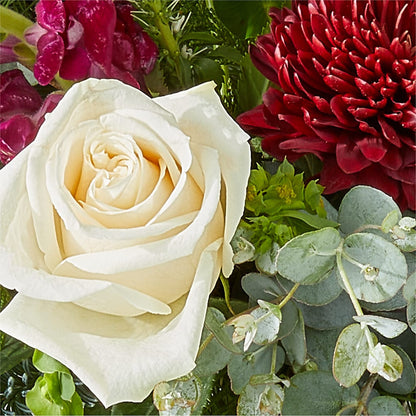 Cranberry Fizz Bouquet – ROWLETT FLORIST & GIFTS, Garland TX