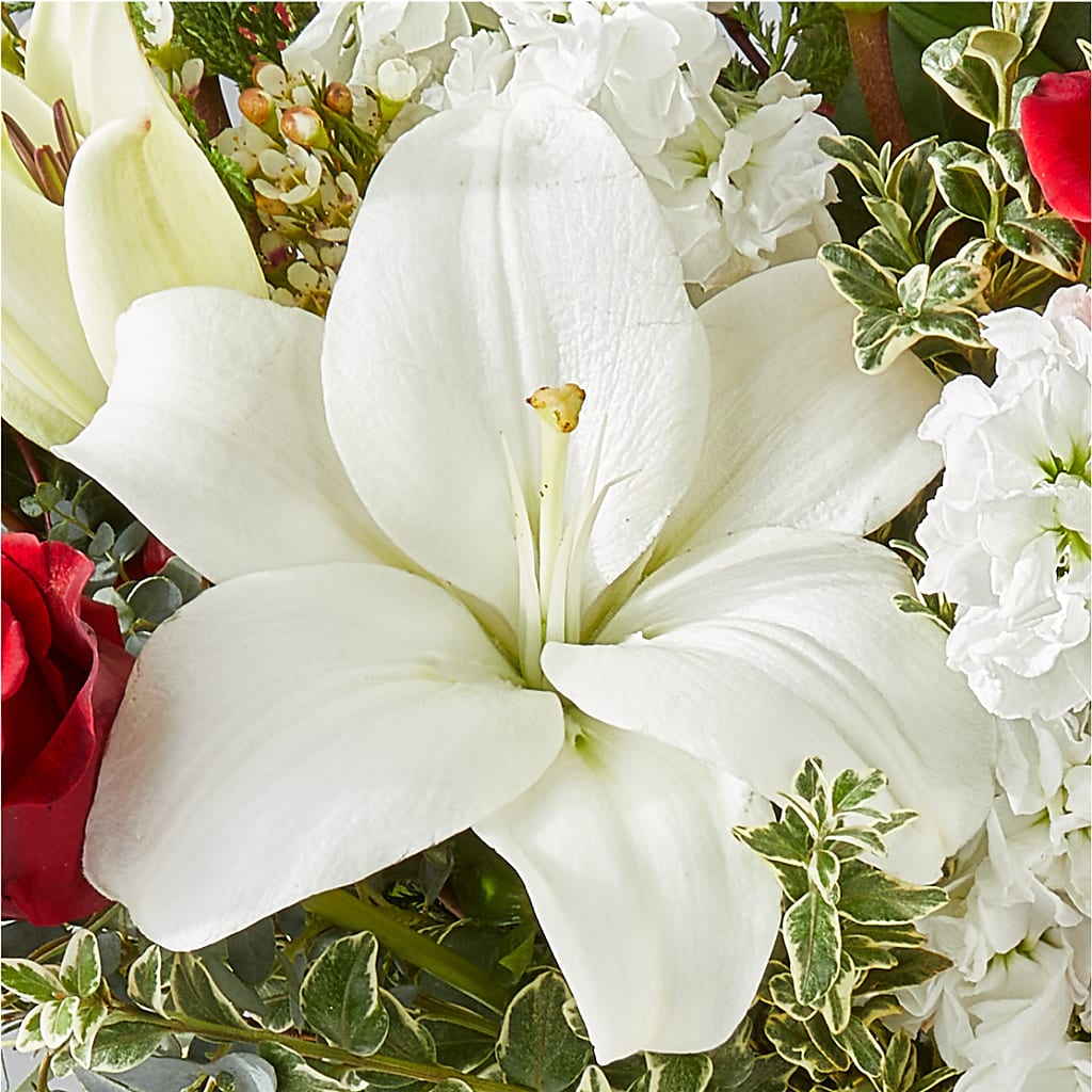 Twinkle Lights Bouquet – ROWLETT FLORIST & GIFTS, Garland TX