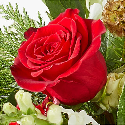 Deck the Halls Bouquet – ROWLETT FLORIST & GIFTS, Garland TX