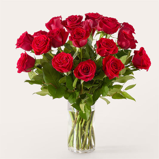 The One Red Rose Bouquet – ROWLETT FLORIST & GIFTS, Garland TX