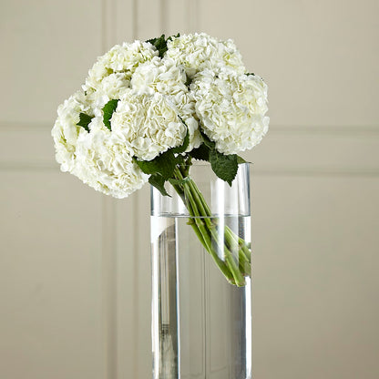 White Hydrangea Hand-Tied Bouquet – ROWLETT FLORIST & GIFTS, Garland TX