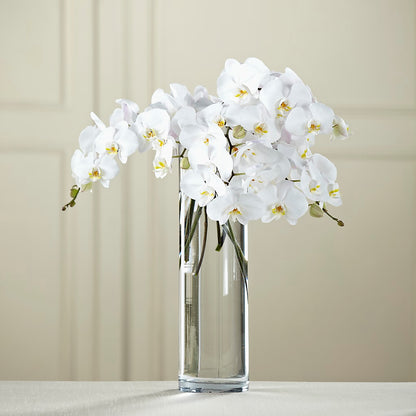 White Phalaenopsis Bouquet – ROWLETT FLORIST & GIFTS, Garland TX